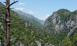 Saut des Francais